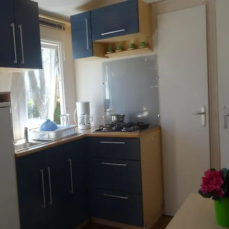 Mobil-home Avec Terrasse Au De - Api-1-52-1220 Campingplatz *