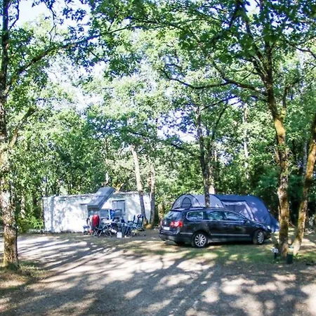 Campsite Mobil-home Avec Terrasse Au De - Api-1-52-1220 *